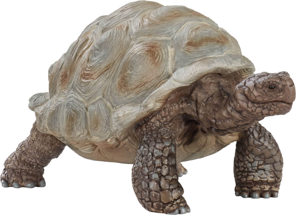 schleich® Wild Life 14824 Riesenschildkröte