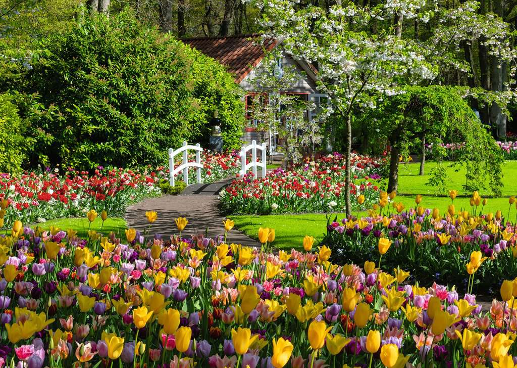 Puzzle 1000 Teile - Keukenhof Gardens, Netherlands