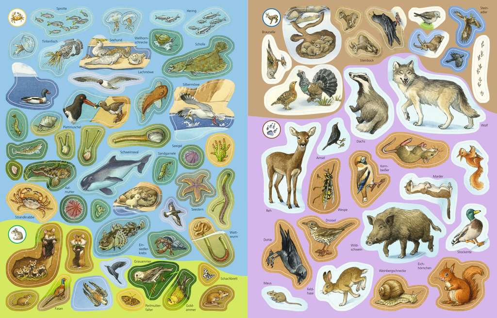 Wieso? Weshalb? Warum? Stickerheft: Heimische Tiere