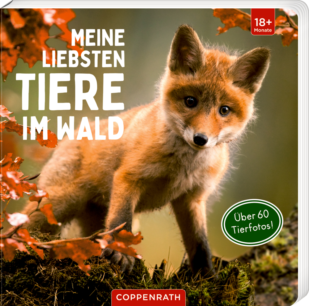 Meine liebsten Tiere im Wald