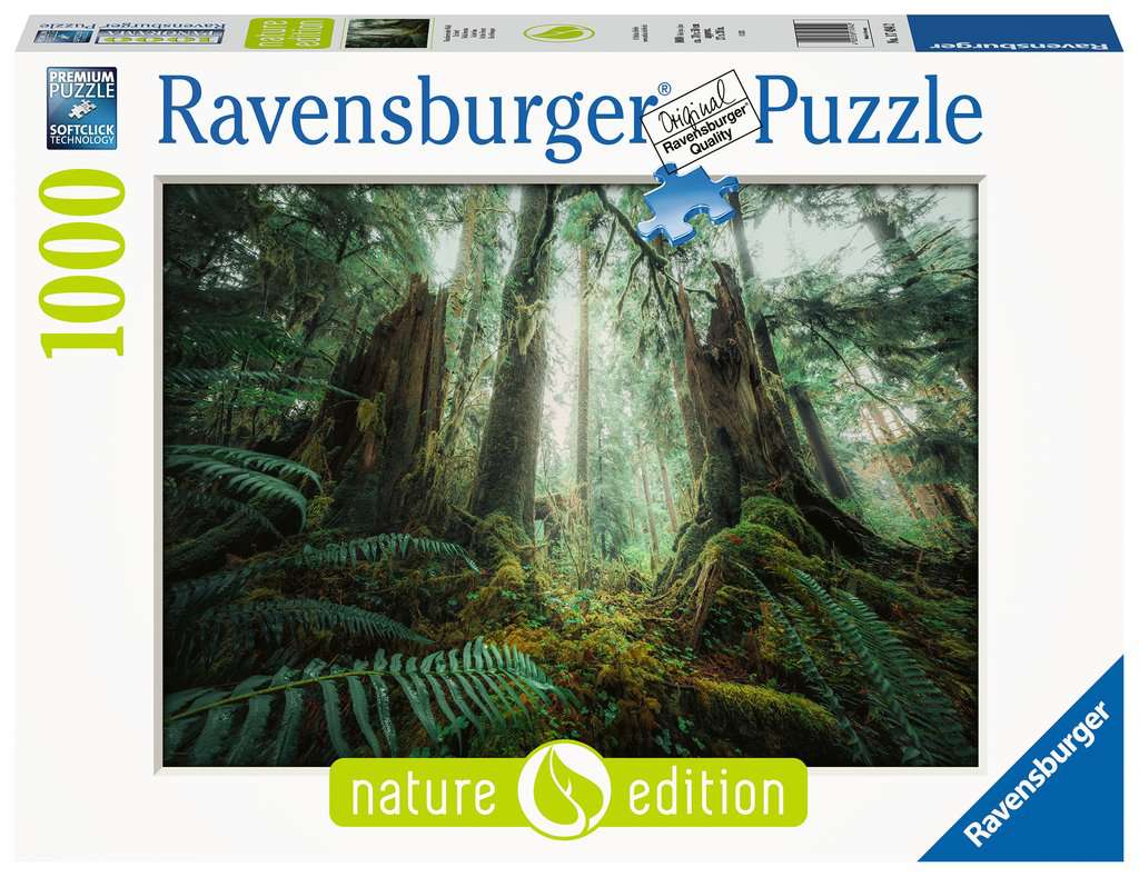 Puzzle 1000 Teile - Faszinierender Wald