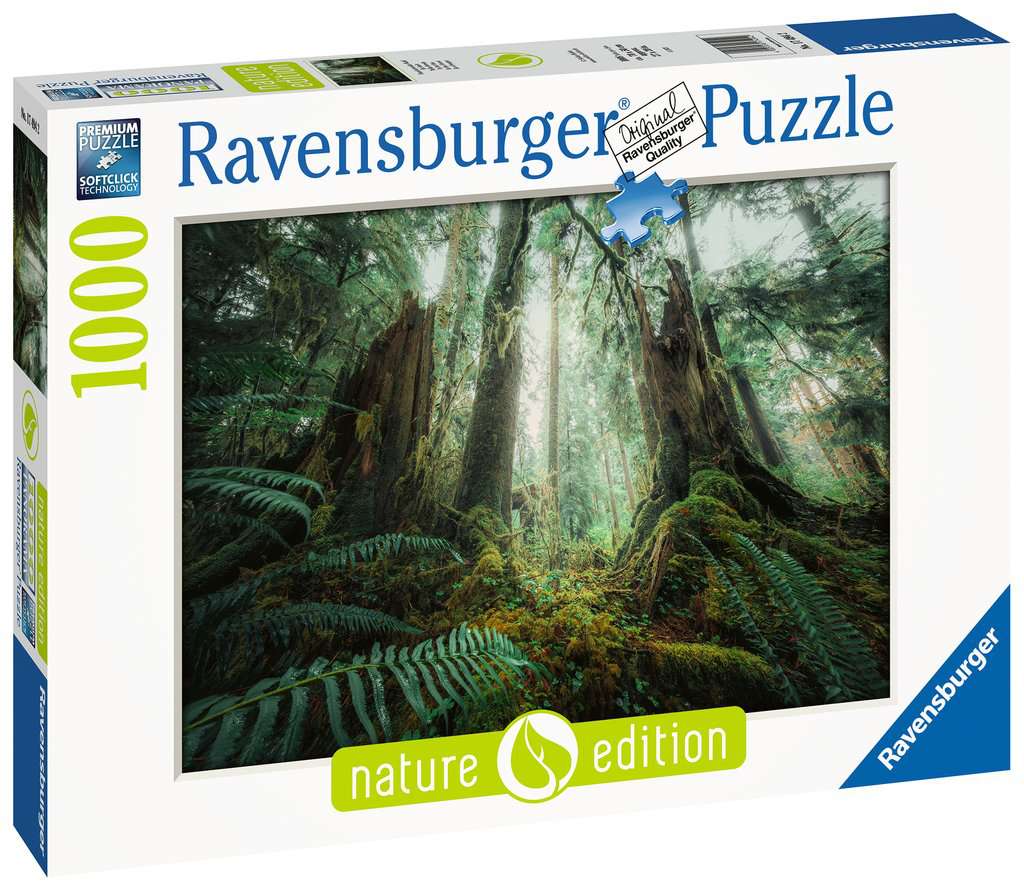 Puzzle 1000 Teile - Faszinierender Wald
