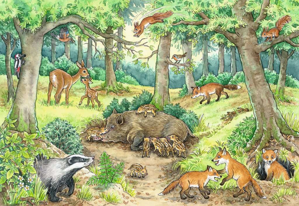 Kinderpuzzle 05673 Tiere im Wald und auf der Wiese 2x12 Teile + Wissensposter