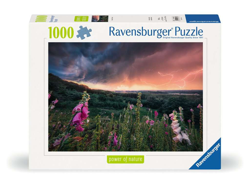 Puzzle 1000 Teile - Ein Sturm zieht auf