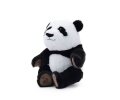 Disney Nat. Geo. Panda Bär, 25cm