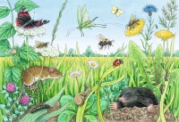 Kinderpuzzle 05673 Tiere im Wald und auf der Wiese 2x12 Teile + Wissensposter