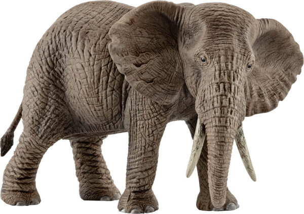 Schleich Wild Life - 14761 Afrikanische Elefantenkuh, ab 3 Jahre