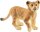 Schleich Wild Life 14813 Löwenjunges, ab 3 Jahre