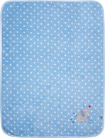 Kuscheldecke, hellblau - BabyGlück (ca. 75x100 cm)