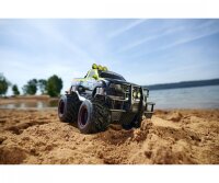 RC Mud Wrestler Ford F150, RTR