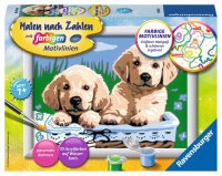 CreArt Süße Hundewelpen - Malen nach Zahlen...