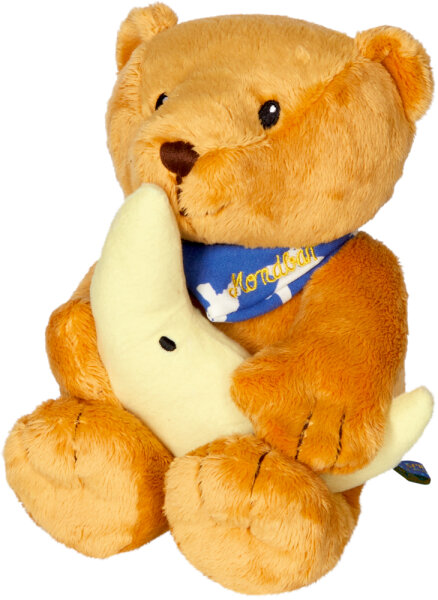 Mondbär mit Leuchtmond - Der kl. Mondbär