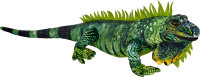 Grüner Leguan Plüschtier 88 cm Nature Zoom Wild...