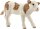 Schleich Farm World Bauernhoftiere - 13802 Fleckvieh-Kalb, ab 3 Jahre