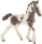 schleich® Farm World Pferde - 13774 Tinker Fohlen, ab 3 Jahre