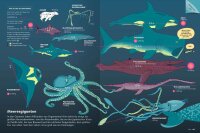 Das große Buch der Infografiken