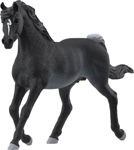 schleich® HORSE CLUB 13981 Araber Hengst