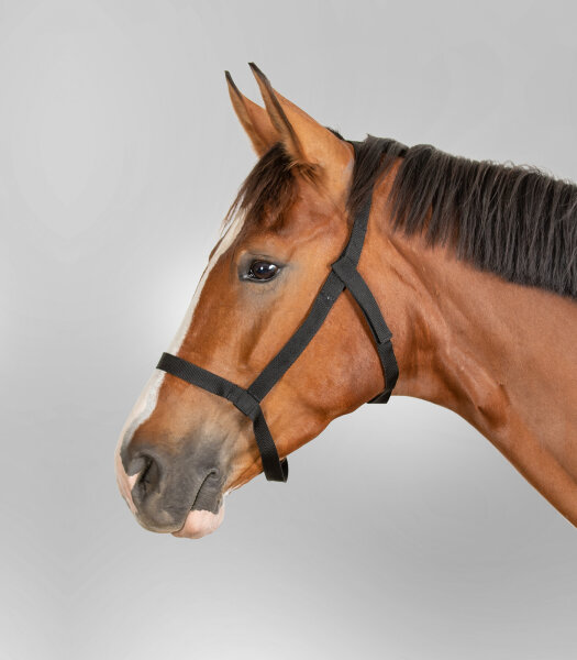 Weidehalfter WB Schwarz