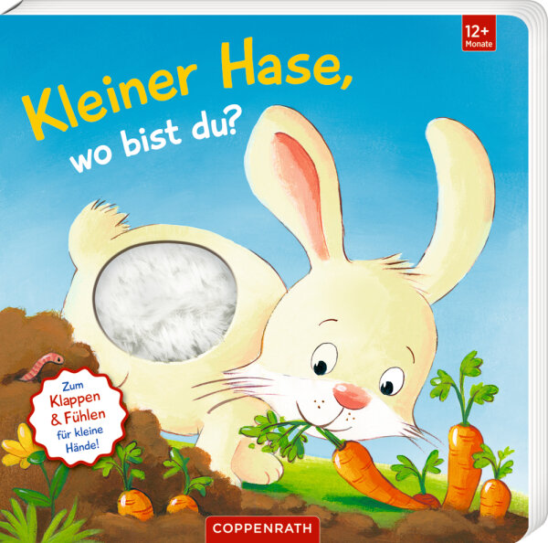 Mein 1. Guckloch-Fühlbuch: Kl. Hase, wo bist du? (Fühlen&b.)