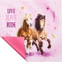 Brillenetui Pferdefreunde Kinder Etui mit Putztuch Brillenbox Pferde Spiegelburg