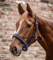 Halfter Pferd Breath VB nachtblau verstellbar gepolstert Satin Halfter