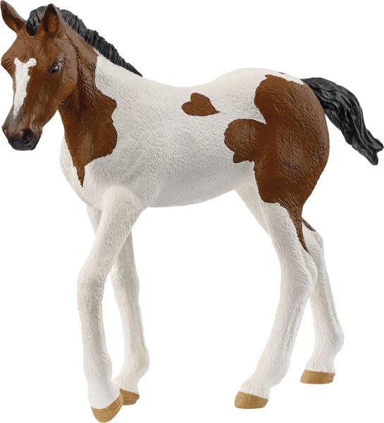 schleich® HORSE CLUB 14899 Paint Horse Fohlen