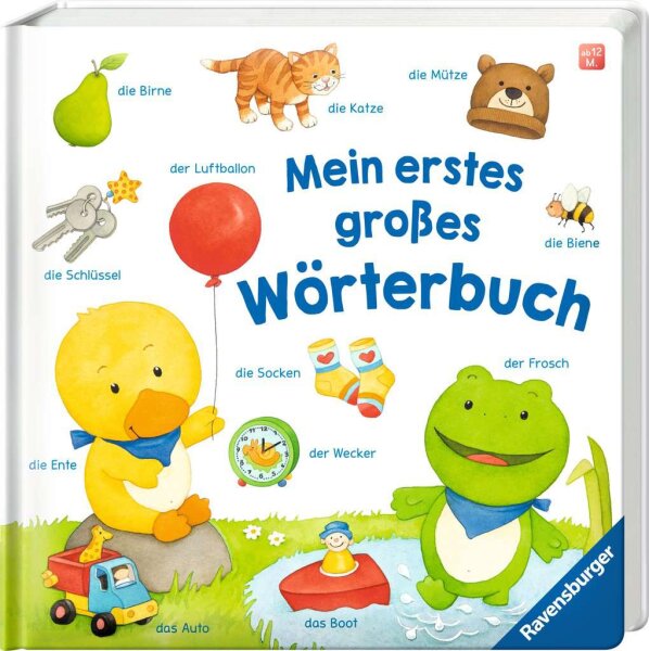 Mein erstes großes Wörterbuch