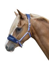 Halfter Shetty gepolstert Funny Horses HKM dunkelblau...