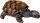 Schildkröte - Nature Zoom Wild
