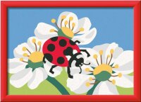 CreArt Marienkäfer - Malen nach Zahlen für...