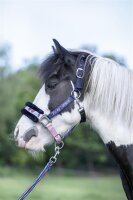 Halfter Shetty gepolstert Funny Horses Hearts HKM Pony Halfter dunkelblau