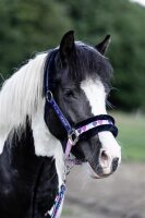 Halfter Shetty gepolstert Funny Horses Hearts HKM Pony Halfter dunkelblau