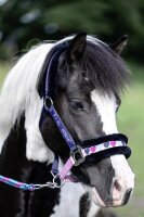 Halfter Shetty gepolstert Funny Horses Hearts HKM Pony Halfter dunkelblau