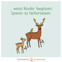Mein 1. Wasser-Malspaß: Waldtiere (Mini-Künstler)