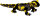 Feuersalamander - Nature Zoom Wild