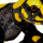 Feuersalamander - Nature Zoom Wild