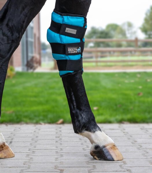 Waldhausen Health + Care Sprunggelenks Kühlgamasche Gel, Stück, WB