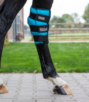 Waldhausen Health + Care Sprunggelenks Kühlgamasche...