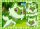 Kinderpuzzle ab 6 Jahren - Speedy Puzzle Pokémon - 35 Teile