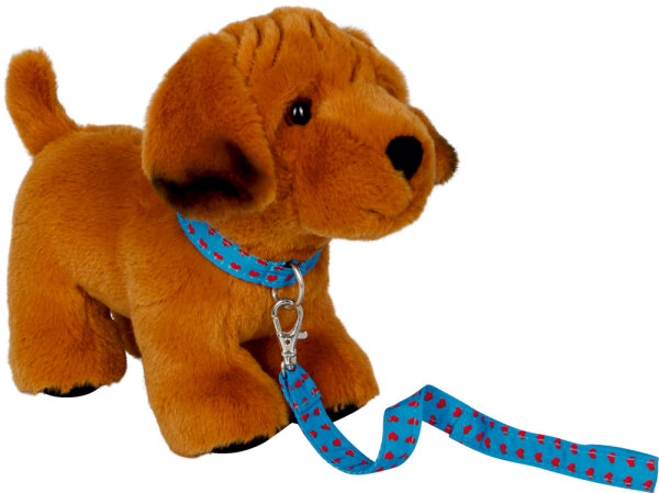 Welpe Joey mit Leine - Lustige Tierparade