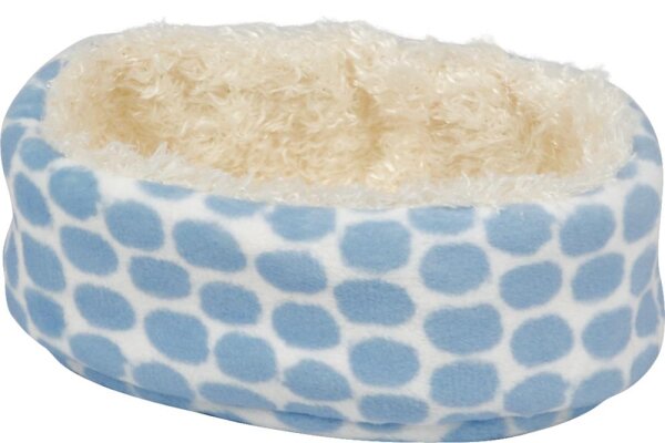 Foxterrier Boomer im Korb - Lustige Tierparade