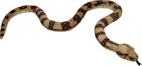 Boa constrictor 3m Plüschschlange Nature Zoom Wild...