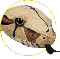 Boa constrictor - Nature Zoom Wild