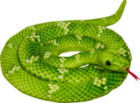 Baumpython - Nature Zoom Wild