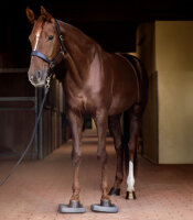 Waldhausen Health + Care Balance Pads – grau (Paar)