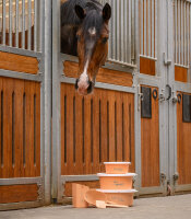 XL Futterschale 8 Liter mit Deckel – pfirsich