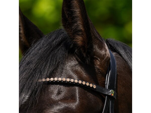 Waldhausen X-Line Stirnband Glam Schwarz VB Strass Leder geschwungen