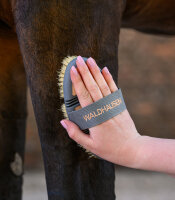 Flex Wurzelbürste, Farbe pfirsisch