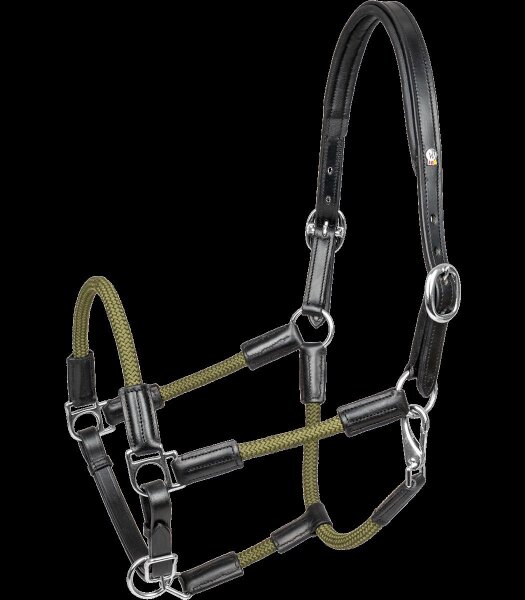 Waldhausen X-Line Lederhalfter Nevada Schwarz/Grün WB – Lederhalfter Pferd
