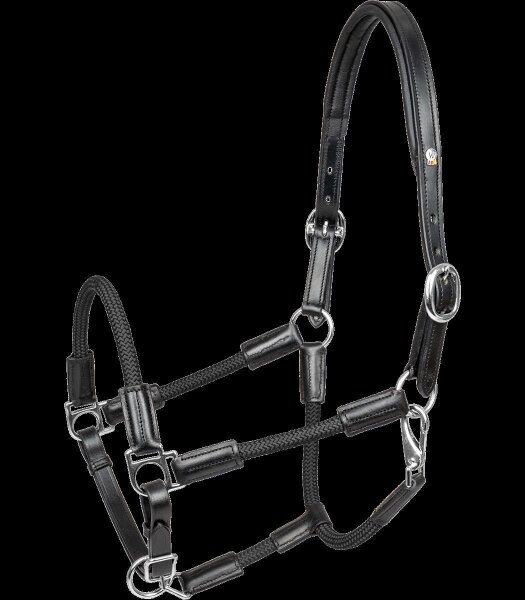 Waldhausen X-Line Lederhalfter Nevada Schwarz/Silber VB – Lederhalfter Vollblut